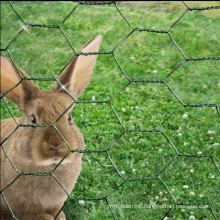 chicken wire mesh rabbit fence green PVC coat steel garden netting